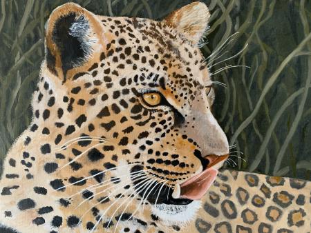 Dennis Perlman - Okavango leopard