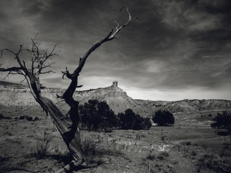 Alexandra Overby  - Ghost Ranch, NM