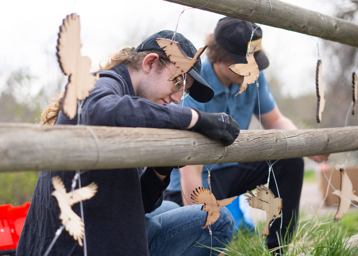 Flight of Daedalus, students installing art installation.