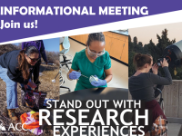 Informational Meeting - Join us! Stand Out with Research Experiences - ACC logo - ACC faculty and students engaging with a telescope, in a microbiology class and in a field.