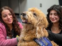 Two ACC students pet a golden doodle dog in the Library at the Littleton Campus