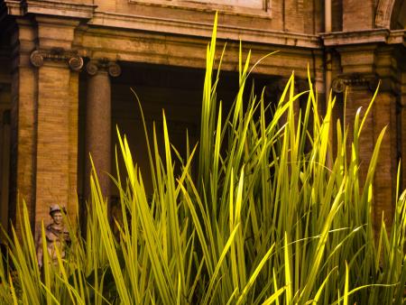 Alexandria Vitaliano - Vatican Garden - Rome, Italy