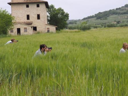 A row of photographers - Italy 2014