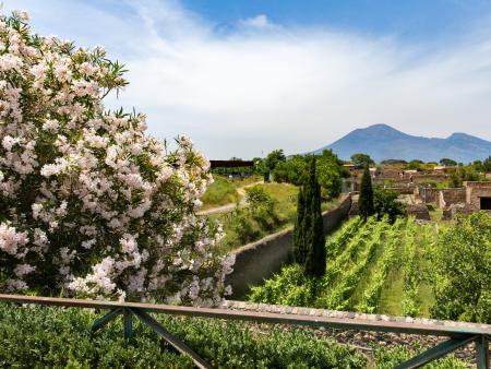 Emily Alacron - Pompeii, Italy