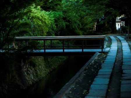 Kaylee Hales - True Delicacy - Kyoto, Japan