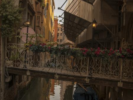 Madison Mari - Venice Bridge, Venice Italy