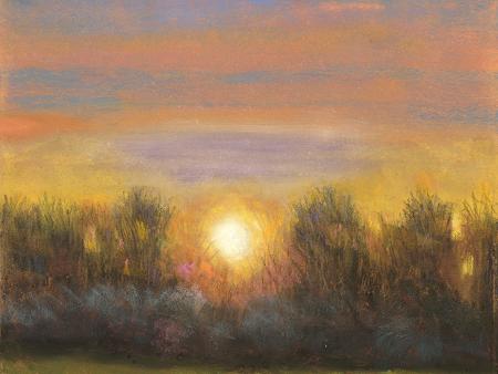 Diane E Edwards - Sunset Glow