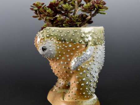 Delaney Jane Larson - Creature Planter