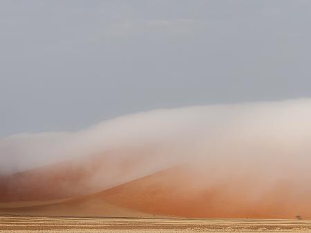 Nancy Myer - A Fog Bank Creeps Over the Dawn Dunes