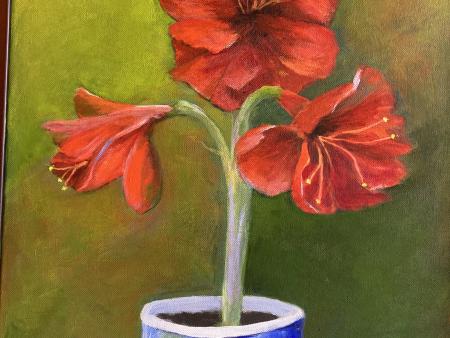 Alice Hayden Amazing Amaryllis