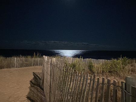 Emory Brockel Title: Moonlight Silence