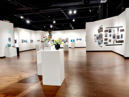 Gallery View