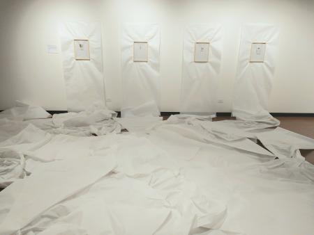 Sisel Lan - Photography Installation