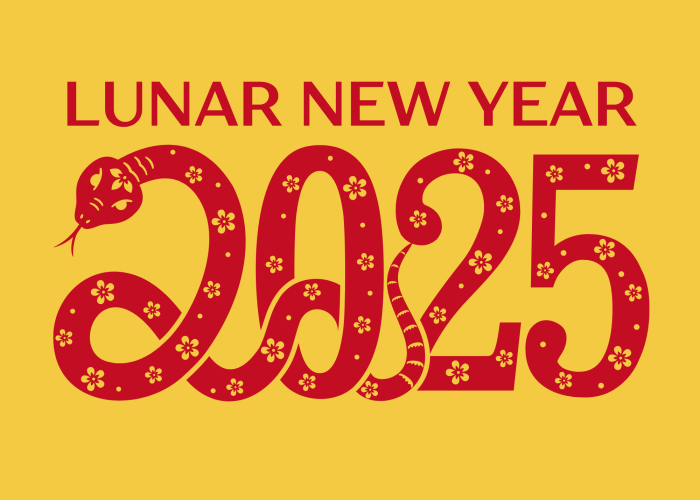 Lunar New Year 2025