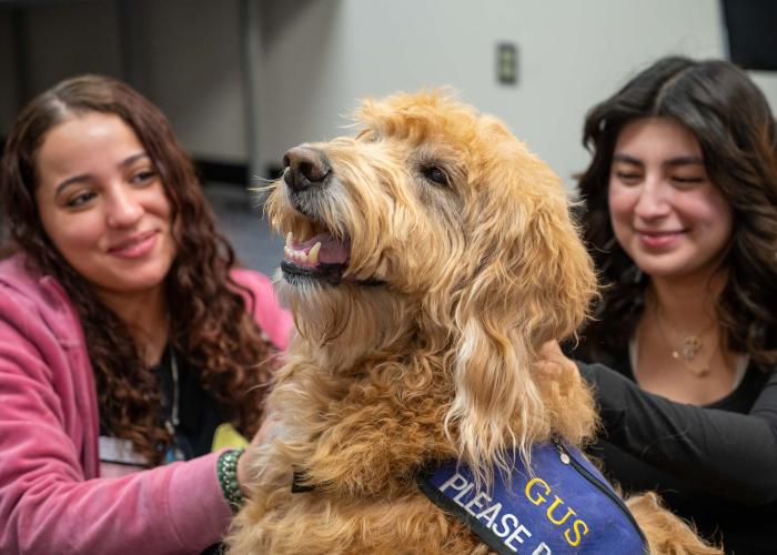 Two ACC students pet a golden doodle dog in the Library at the Littleton Campus