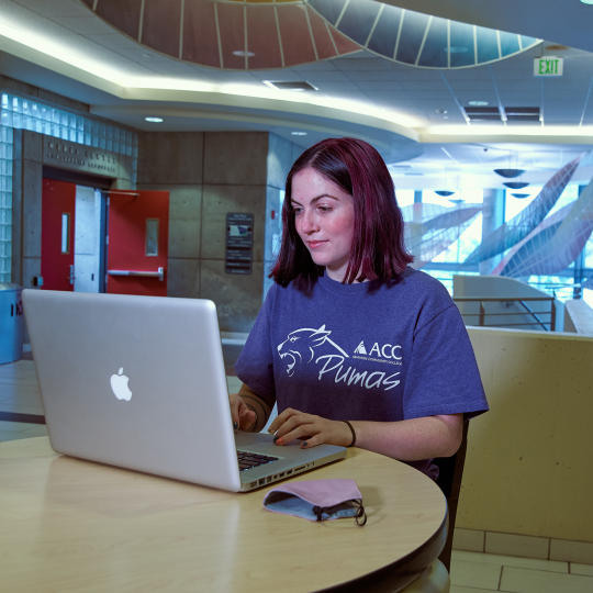 ACC student at a laptop computer in the Library and Learning Commons